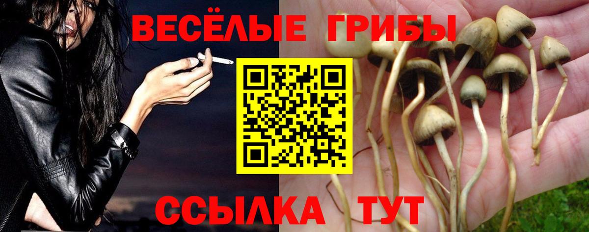 Псилоцибиновые грибы GOLDEN TEACHER  Галлюциногенные грибы GOLDEN TEACHER  Вход с VPN  Южно-Сахалинск 